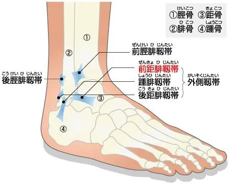 捻挫の治し方は？足首や手首の捻挫の応急処置・マッサージ│市川